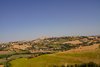 IMG_7558