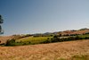 IMG_7599